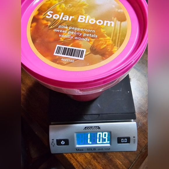 Pink Zebra Solar Bloom Carton - Picture 1 of 2